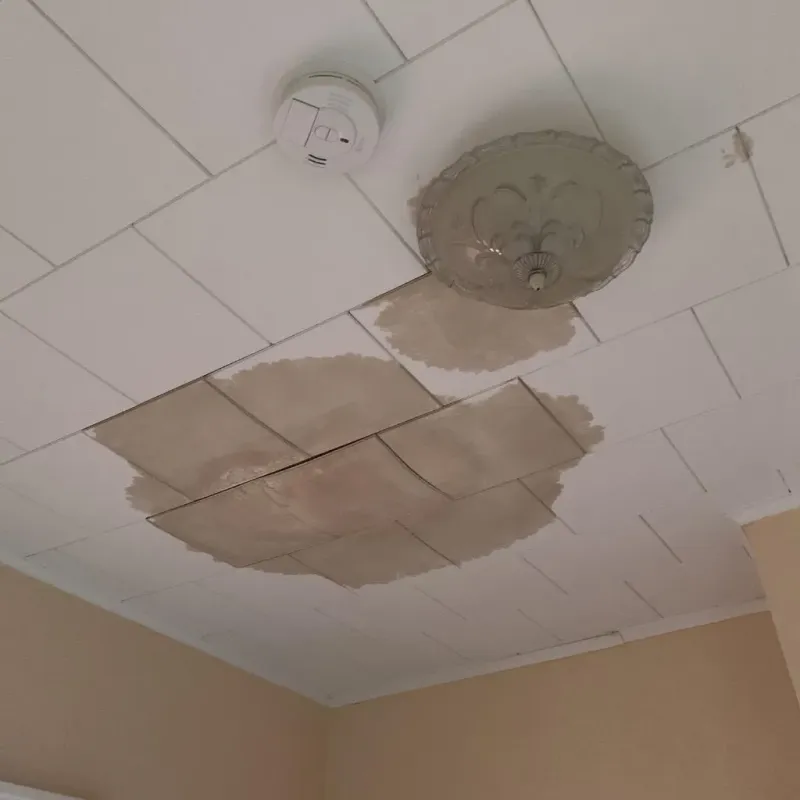 Ceiling Water Damage Repair in East Bangor, PA