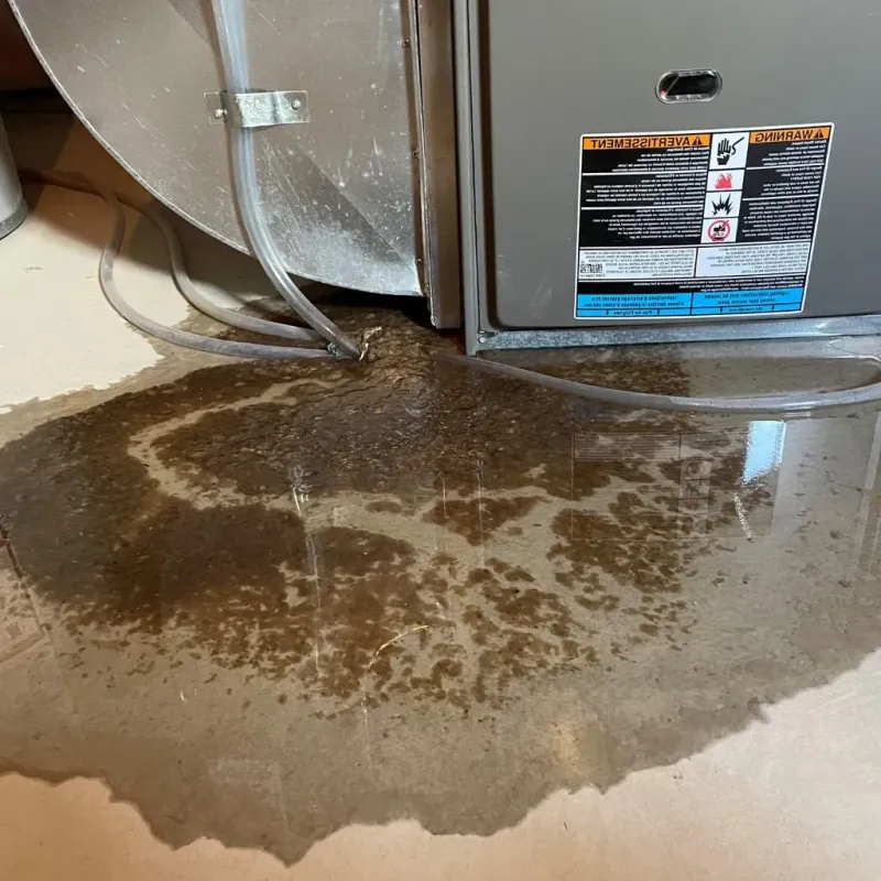 Pipe Burst and Leak Restoration in East Bangor, PA
